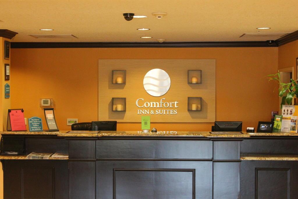 Comfort Inn & Suites Northeast - Gateway St. Petersburg Dış mekan fotoğraf