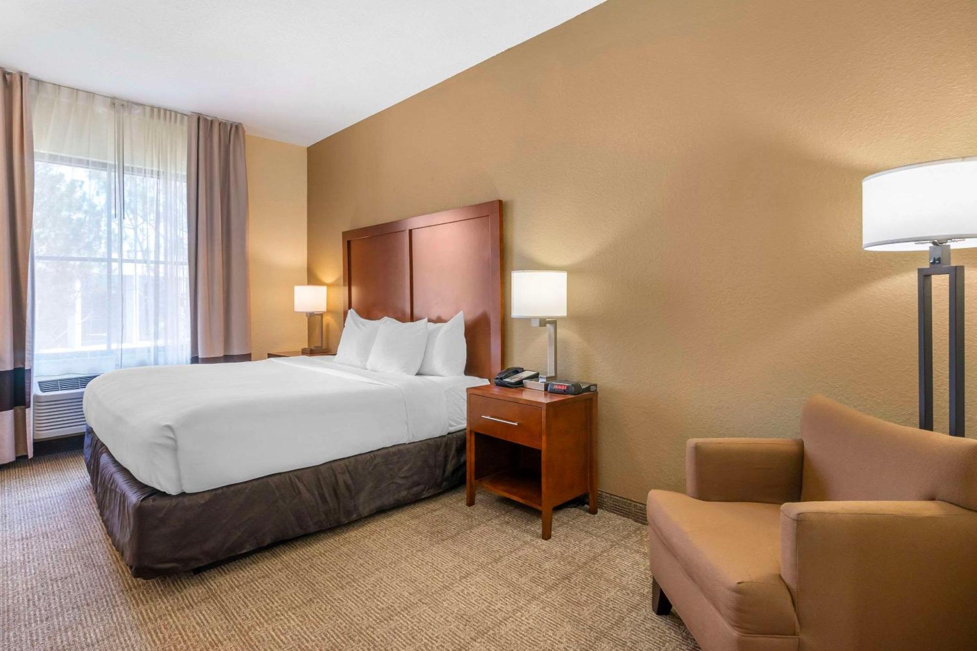 Comfort Inn & Suites Northeast - Gateway St. Petersburg Dış mekan fotoğraf