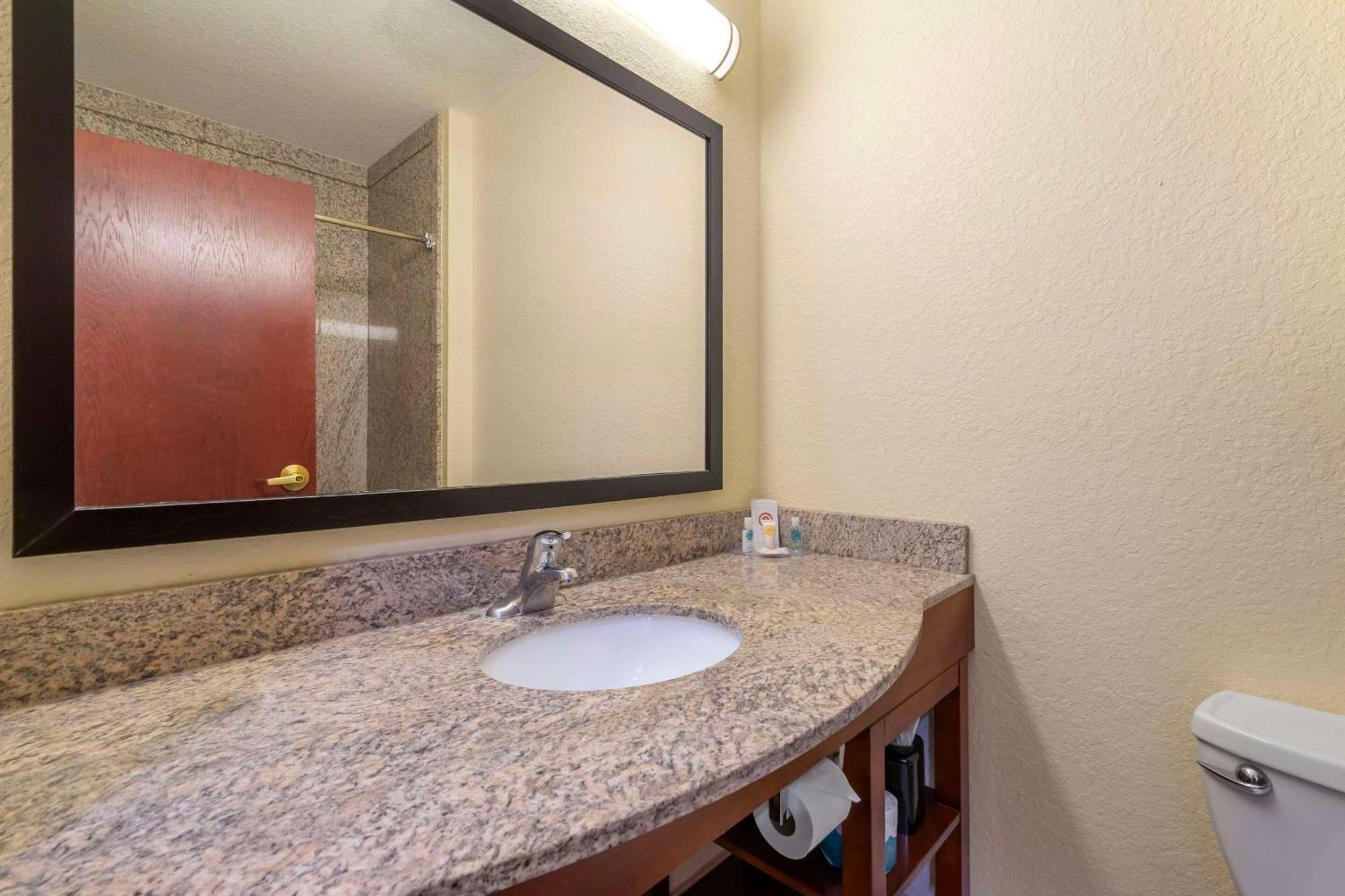 Comfort Inn & Suites Northeast - Gateway St. Petersburg Dış mekan fotoğraf