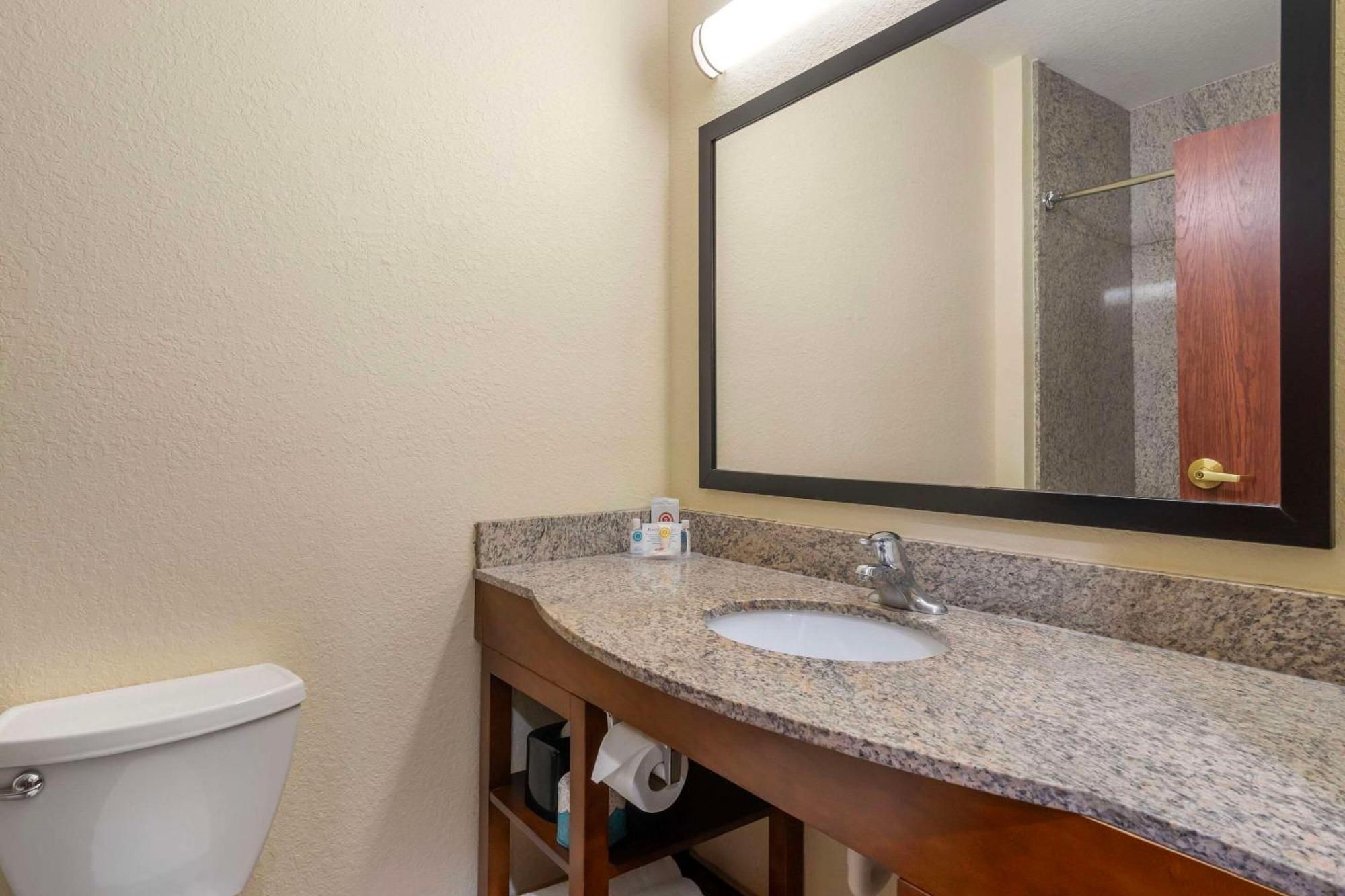 Comfort Inn & Suites Northeast - Gateway St. Petersburg Dış mekan fotoğraf