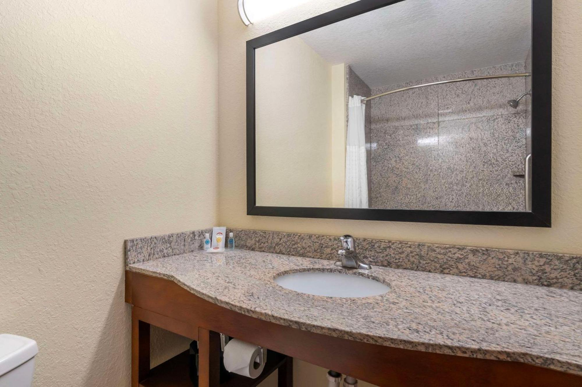 Comfort Inn & Suites Northeast - Gateway St. Petersburg Dış mekan fotoğraf