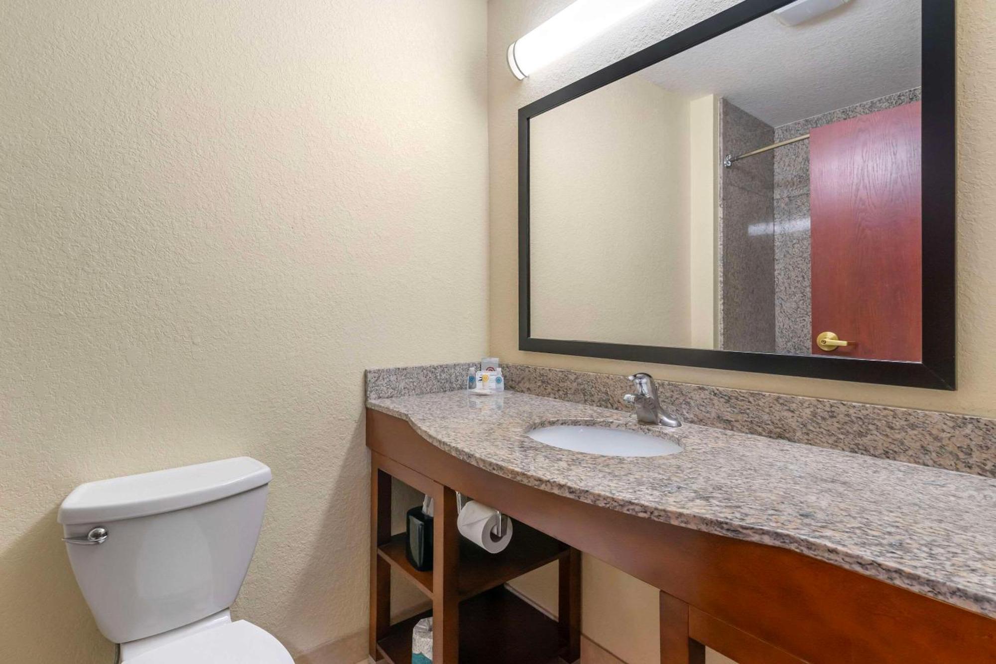 Comfort Inn & Suites Northeast - Gateway St. Petersburg Dış mekan fotoğraf