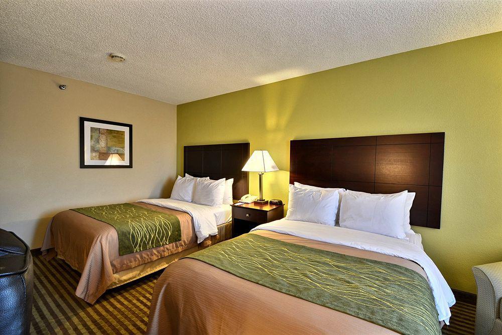 Comfort Inn & Suites Northeast - Gateway St. Petersburg Dış mekan fotoğraf